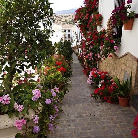 Casa De Las Flores - A Picture Perfect Location! El Gastor Buitenkant foto