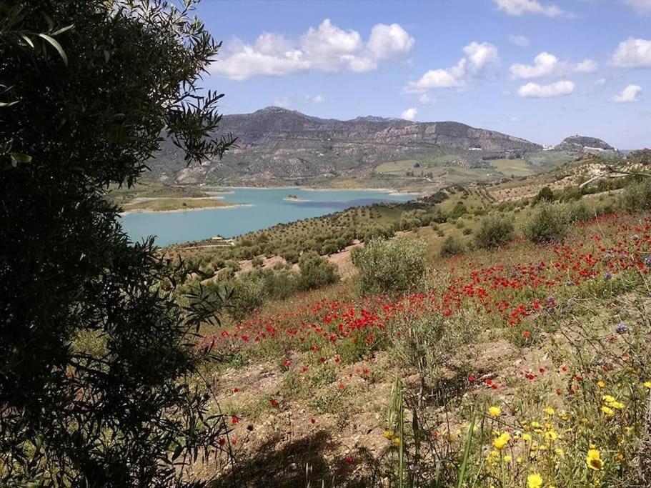 Casa De Las Flores - A Picture Perfect Location! El Gastor Buitenkant foto