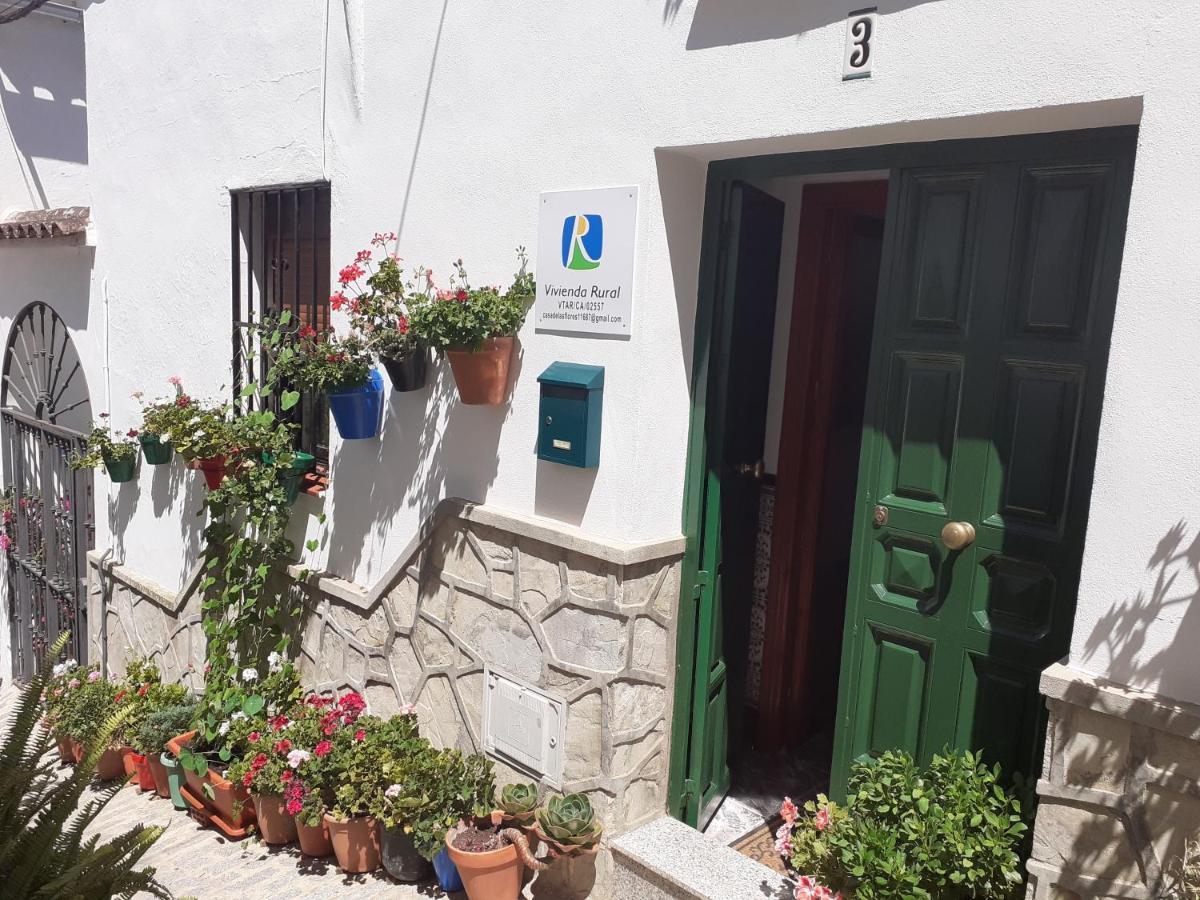Casa De Las Flores - A Picture Perfect Location! El Gastor Buitenkant foto