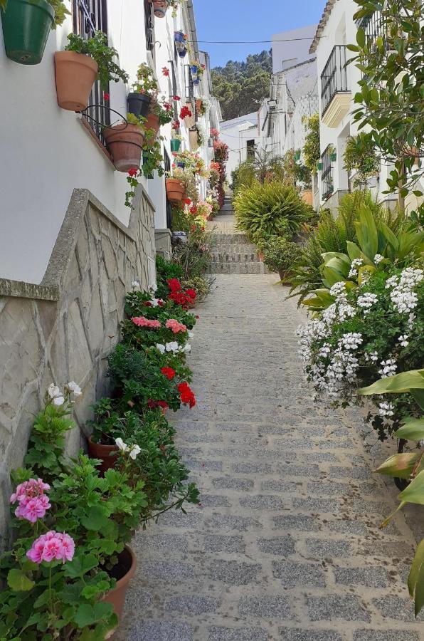 Casa De Las Flores - A Picture Perfect Location! El Gastor Buitenkant foto