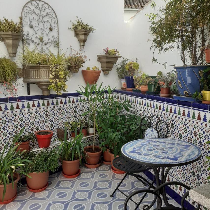 Casa De Las Flores - A Picture Perfect Location! El Gastor Buitenkant foto