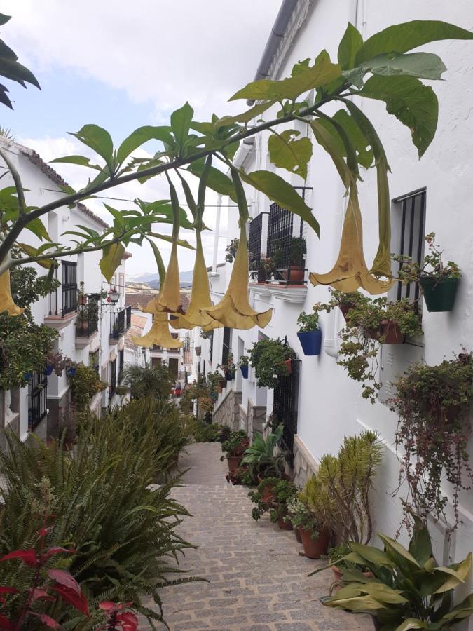 Casa De Las Flores - A Picture Perfect Location! El Gastor Buitenkant foto