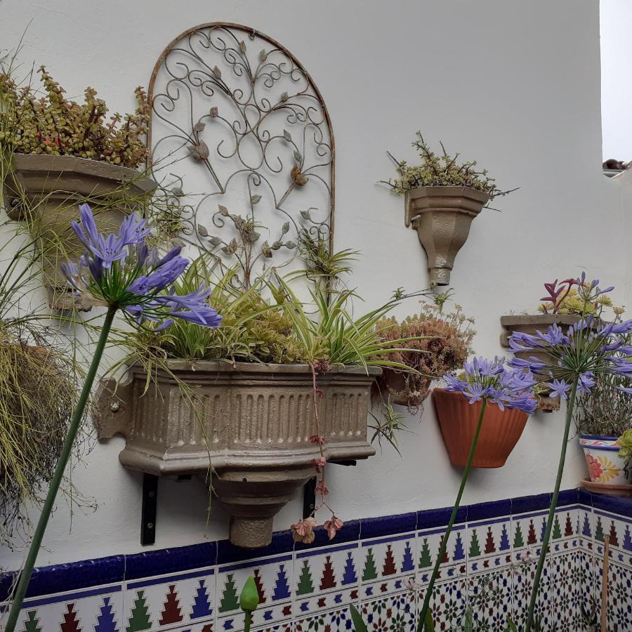 Casa De Las Flores - A Picture Perfect Location! El Gastor Buitenkant foto