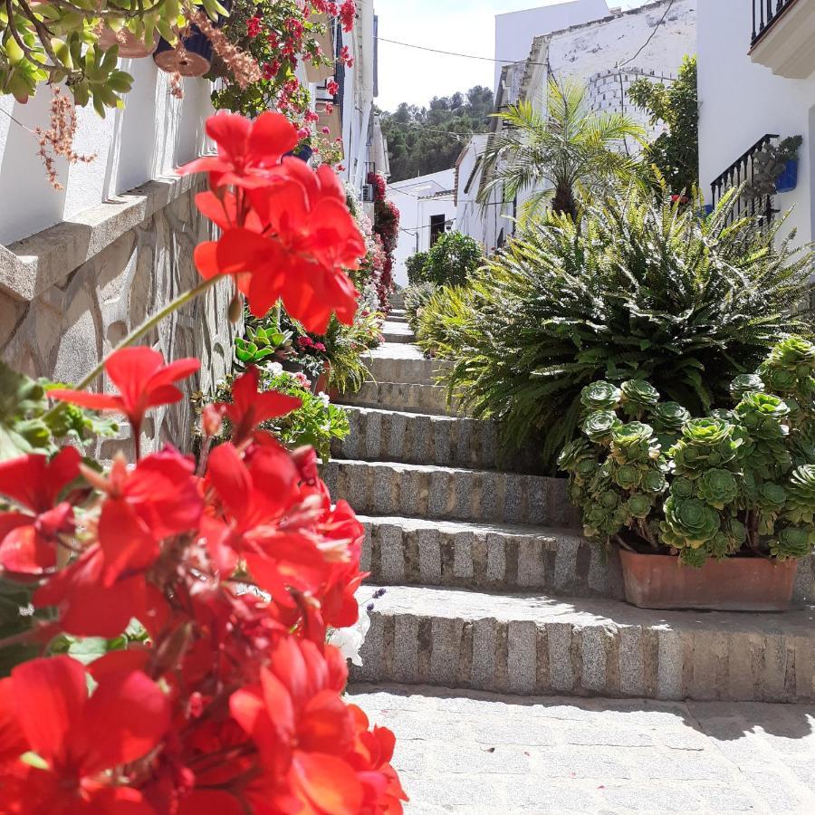 Casa De Las Flores - A Picture Perfect Location! El Gastor Buitenkant foto